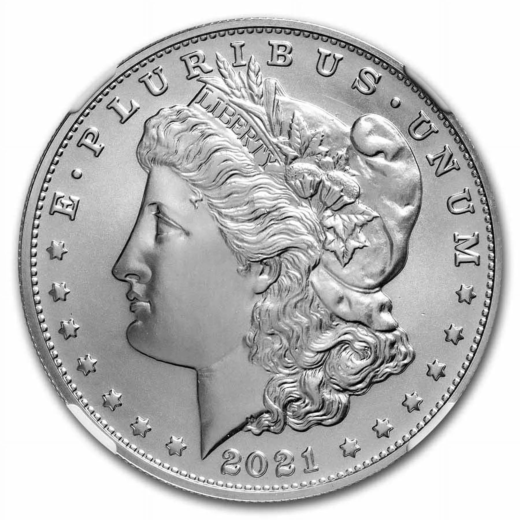 Silver Morgan Dollar MS-70 NGC Z95104