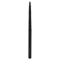 Lip Brush Q969492