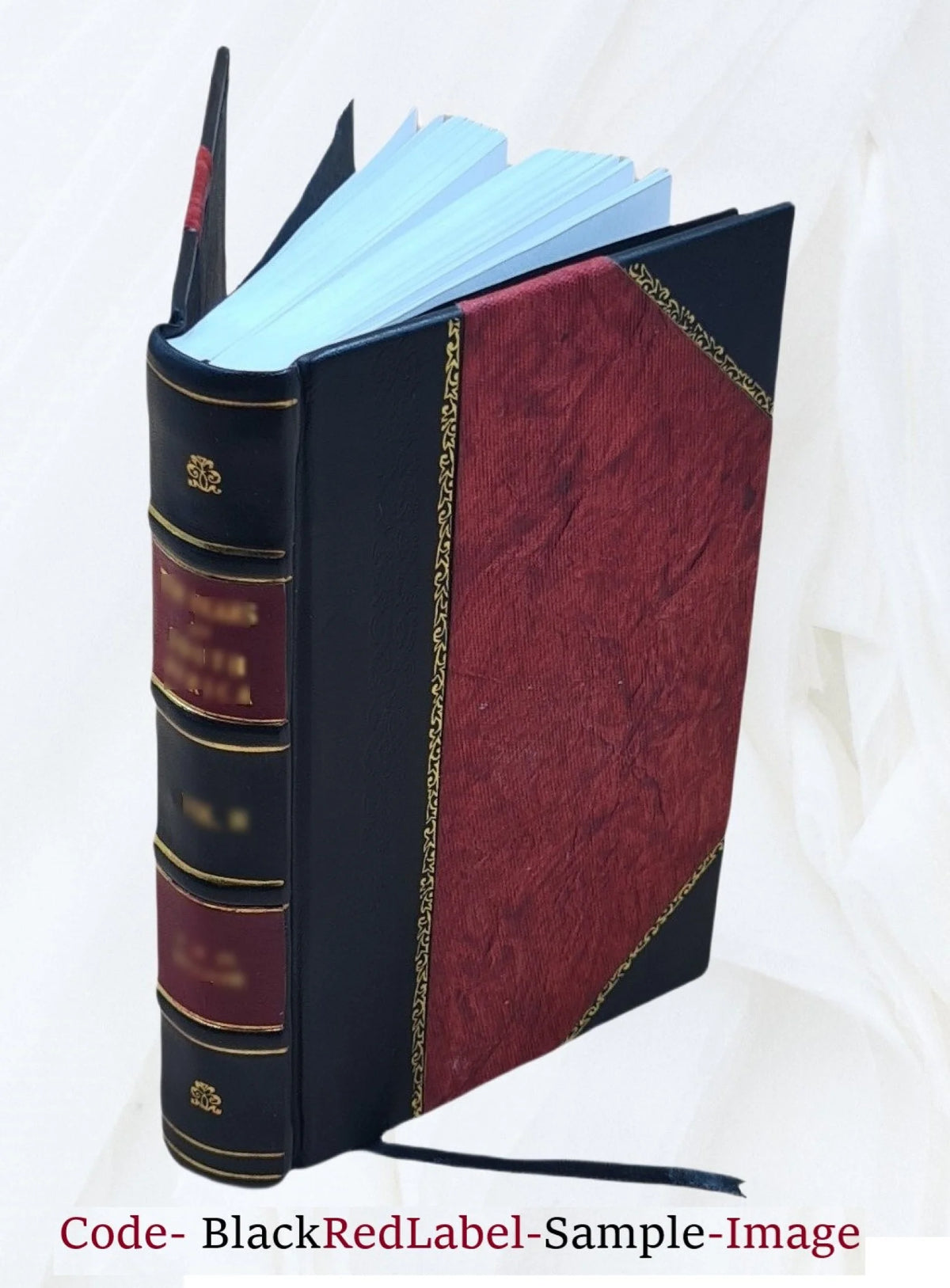 Leather Bound Book N488950