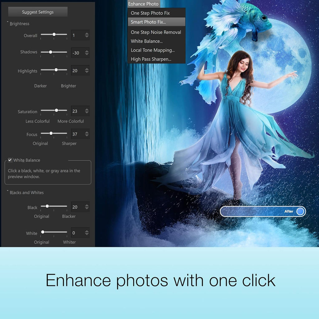 Photo Editing & Graphic Design Software M8483