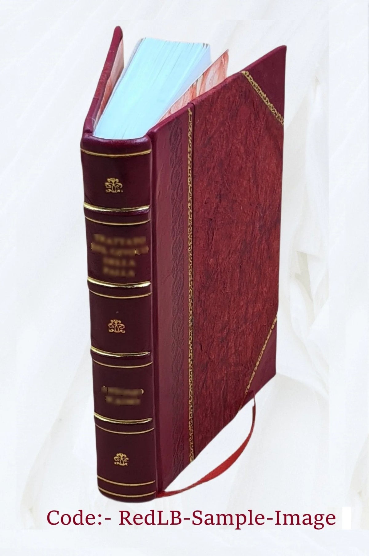 Westward ho! or, The voyages and adventures of Sir Amyas Leigh, knight, of Burrough, in the County of Devon, in the reign of Her Most Glorious Majesty, Queen Elizabeth. Volume v. 2 L463
